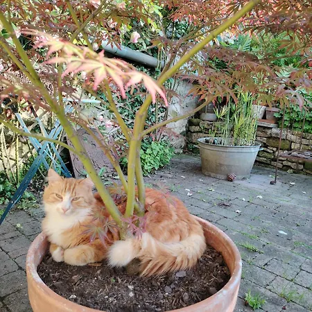 Chez Didier Et Corinne Bed and Breakfast