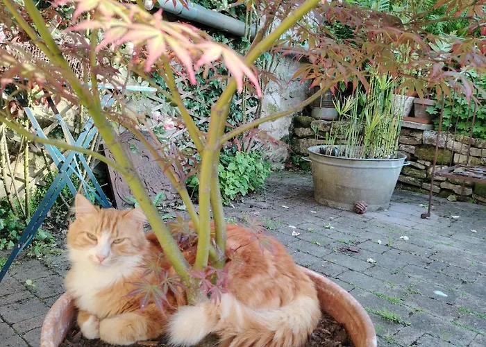 Chez Didier Et Corinne Bed & Breakfast